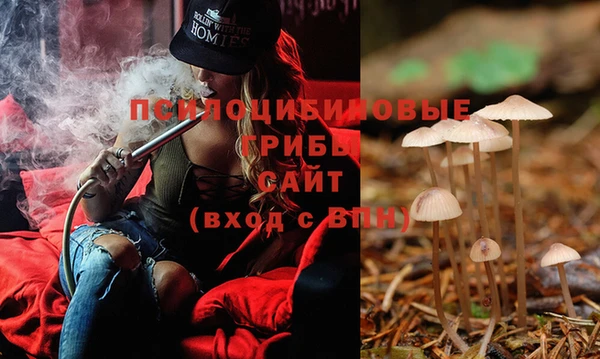 винт Няндома