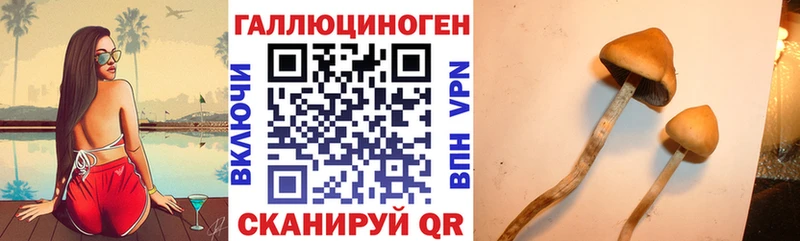Псилоцибиновые грибы Psilocybine cubensis  купить   Сухиничи 